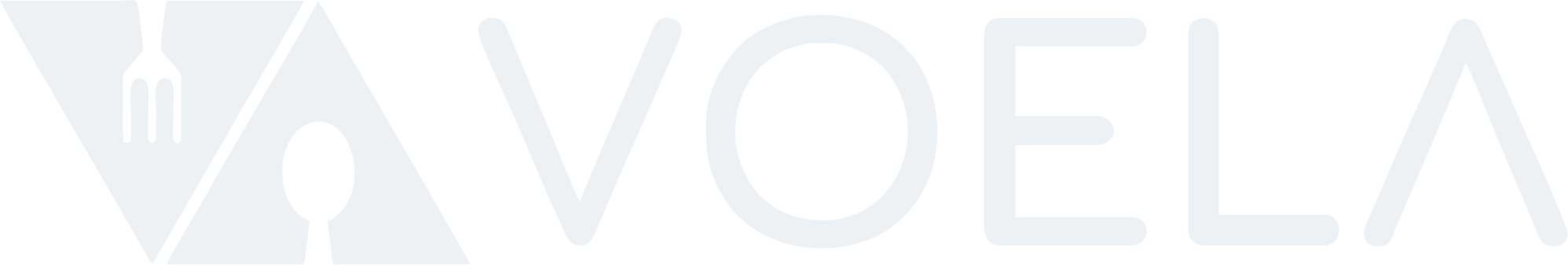 Logo Voela Grey